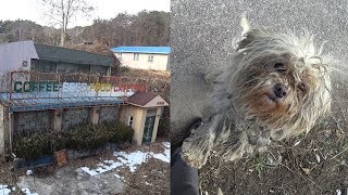 폐교된 서남대학교의 대학로는 어떤 모습일까