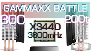 КУПИЛ GAMMAXX 200T. На сколько он хуже чем GAMMAXX 300?