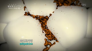 [HIT] 생로병사의 비밀 - 복부 내장비만이 당신의 건강을 위협한다.20151104