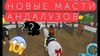 StarStable НОВЫЕ МАСТИ АНДАЛУЗОВ