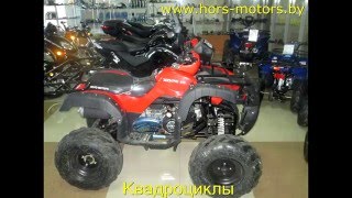 Обзор магазина Торговой сети "ХОРС-МОТОРС" г. Минск