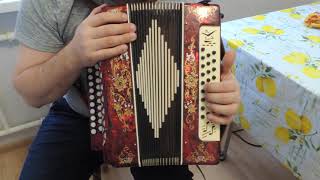 Гармонь Шуйская заказная Ре диез