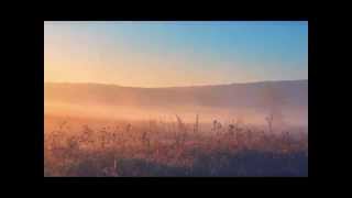 УКРАЇНСЬКІ НАРОДНІ ПІСНІ