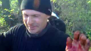Кастрация быка более 500-т. килограммов