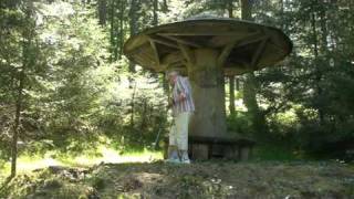 Zwarte Woud - Freudenstadt Mei 2010