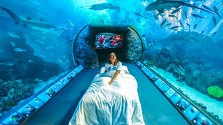 If I Lived in an Aquarium