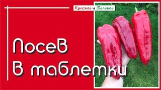 Посев томата, перца, баклажана в таблетки. Отличная всхожесть и дополнительные бонусы.