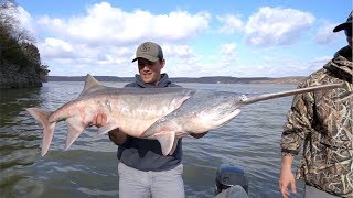 Catching MASSIVE Prehistoric Fish!?!?!