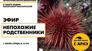 Детский эфир "Непохожие родственники" в рамках рубрики "Неурочные беспозвоночные"