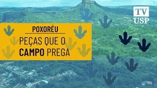 Peças que o campo prega (parte 3/5)
