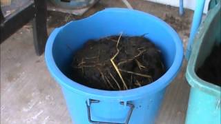 How I start a new worm farm with short and long trem results.