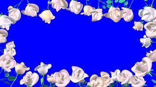 Футаж Белые Розы. Свадебные Рамки. Белые Розы на Хромакее. Свадебная Рамка из Роз