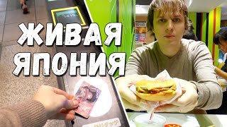 Как я вижу Японию каждый день. Японский Макдоналдс