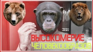 Как нужно общаться с людьми.Высокомерие.Человек разумный.Мысля от Эдгара