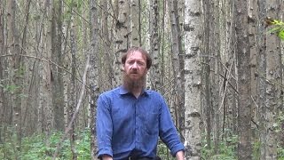 Драка русских богатырей Добрыни Микитича и Дуная Ивановича, и как Илья Муромец их помирил (былина)