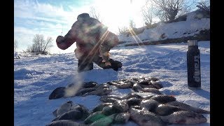 ЗА ТАКИМИ КАРАСЯМИ СТОИЛО ЕХАТЬ!!! Леска трещит!Рыбалка 2019,Крупный карась.Последний лед.