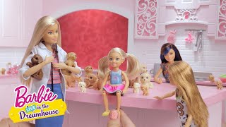 Bir Sürü Yavru Köpek | Barbie LIVE! In The Dreamhouse | Barbie Türkiye | Barbie
