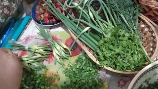 ЧЕСНОЧНЫЕ СТРЕЛКИ НА ЗИМУ.ВКУСНО!