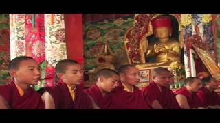 Young Lama & Future Tibetan Spiritual Leader, Asanga Sakya Rinpoche