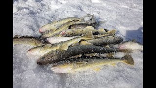 Зимняя рыбалка.Опасный тонкий лёд не реальный клев наваги. Сахалин.