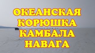 Рыбалка в Приморском крае ОКЕАНСКАЯ камбала корюшка навага Рыбы нет Full HD