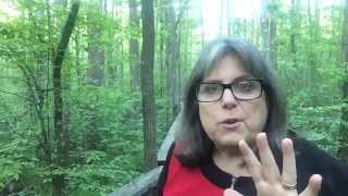 HAUNTED MINUTES - The Pocomoke Forest