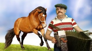 Уроки игры на гармони для начинающих. Учим песню Хас-Булат.