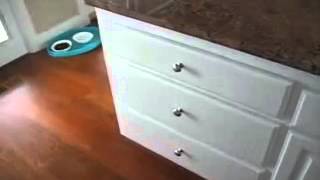 zenhomes furnishing ray âm giảm chấn