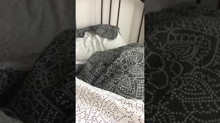 Girlfriend’s light sleeping feet