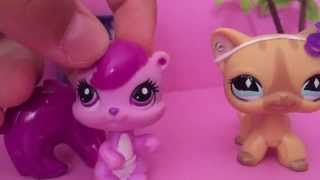 LPS: 10 вещей, которые я не умею делать?
