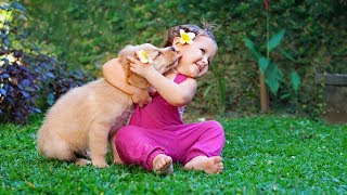Puppies and Babies Playing Together Compilation