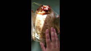 Птицеводство  Забой мускусной утки 2 часть