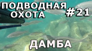 Подводная охота #21 Дамба