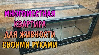 ДВОЙНОЙ ТЕРРАРИУМ С ОТКРЫВНЫМИ ДВЕРЯМИ СВОИМИ РУКАМИ
