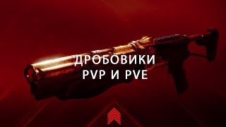 Гайд по дробовикам | Destiny 2
