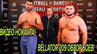НЕМКОВ ПРОТИВ ДЭВИСА ОБЗОР БОЯ! СИДЕЛЬНИКОВ ПРОТИВ КЕРЕША