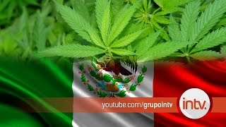 MEXICO LEGALIZA LA MARIHUANA - 04/11/2015