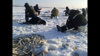 ДАЛЬНИЙ ВОСТОК ! ХАБАРОВСКИЙ КРАЙ ! ЗИМНЯЯ РЫБАЛКА НА КОРЮШКУ !  17.12. 2017
