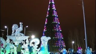Главная ёлка Красноярска открылась на острове Татышев