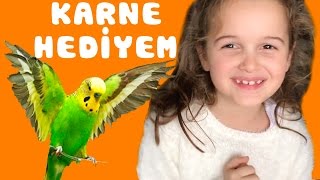 SÜRPRİZ Karne Hediyesi | Eğlenceli Çocuk Videosu | EvcilikTV