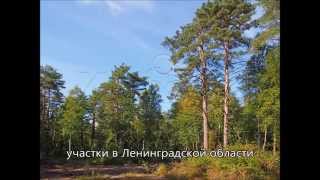 Купить участок недорого в Ленинградской области. Загородная недвижимость.