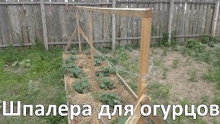 Шпалера своими руками для огурцов