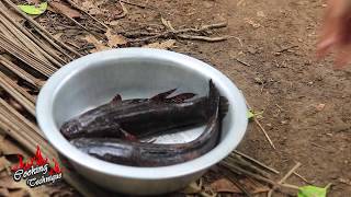 Cooking Technique: Cooking Marble Goby Fish Eating Delicious in my Village