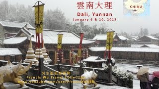 【月光下的凤尾竹】雲南大理 Dali, Yunnan, China