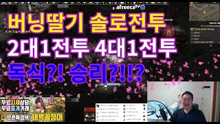 [리니지 버닝딸기TV] 버닝딸기 독고다이!! 오만지배의탑 다대일 전투 영상! 리니지 리마스터