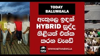 Balumgala 2016 01 11 Hybrid Sudda