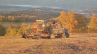Деревенька моя с Лебяжье,  Алтайский край, Красногорский район!