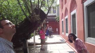 See the beautiful Ahrida Synagogue in Istanbul, Turkey with Eva's Best Travel and Cruises!