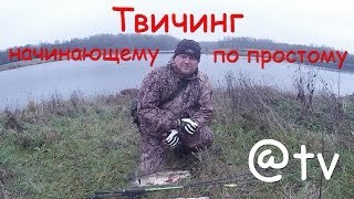 Твичинг. Начинающему. По простому...