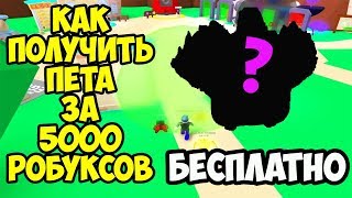Как получить пета за 5000 робуксов БЕСПЛАТНО в симуляторе жвачки!